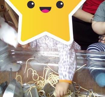 exploring-painting-activities